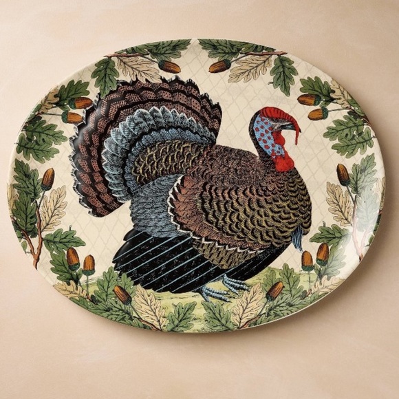 John Derian 19”x14” Turkey with Acorn Stoneware Oval Serving Platter - New - Picture 1 of 3